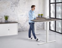elektrisch-verstelbaar-zit-sta-bureau.
