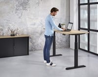 elektrisch-zit-sta-bureau