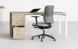 Ergonomisch bureau Conect