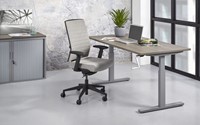 Ergonomisch-bureau