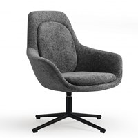 fauteuil-met-armsteunen
