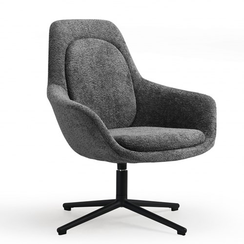fauteuil-met-armsteunen