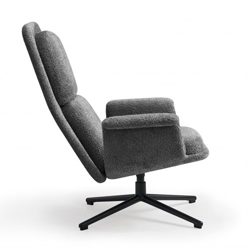 fauteuil-met-hoge-rugleuning-softa
