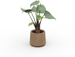 Alocasia kunstplant in gevlochten pot 95cm hoog
