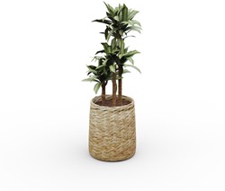 Grote kunstplant in gevlochten bamboe pot 110 cm hoog