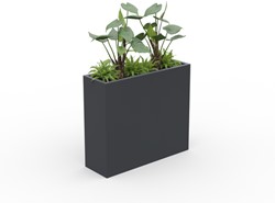 Hoge plantenbak met Alocasia en varens antraciet 180x90 cm