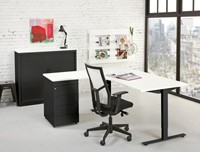 Wingbureau ProLine Tendenz-3
