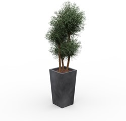 Kunst Eucalyptus boom in antraciet plantenbak 150 cm
