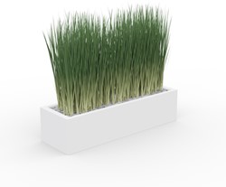 Hoge siergrassen in plantenbak wit 80 cm breed