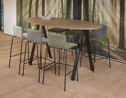 Hoge tafel ovaal 220x 110 ProLine Air