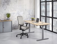 In-hoogte-verstelbaar-bureau-ProLine
