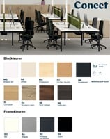 Kleuren-bureau-Conect