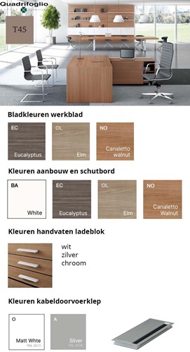 Kleuren-directiebureau-T45