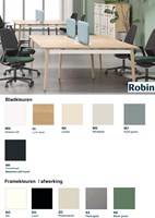 Kleuren-duo-bureau-Robin