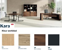 Kleuren-Kara-kantoorkasten