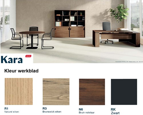 Kleuren-Kara-kantoorkasten