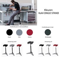 Kleuren-ONGO-stand-zit-sta-kruk