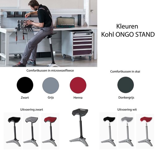 Kleuren-ONGO-stand-zit-sta-kruk