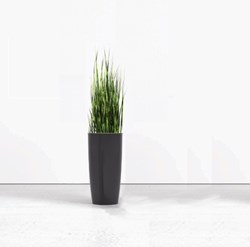 Siergras hoog met plantenbak 160 cm