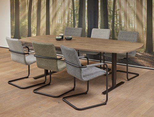 Vergadertafel Deens ovaal 240x 120 ProLine Tendenz
