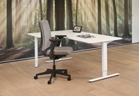 wit-Hoekbureau-wingblad