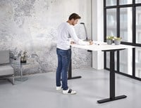Zit sta bureau elektrisch verstelbaar 2 motoren